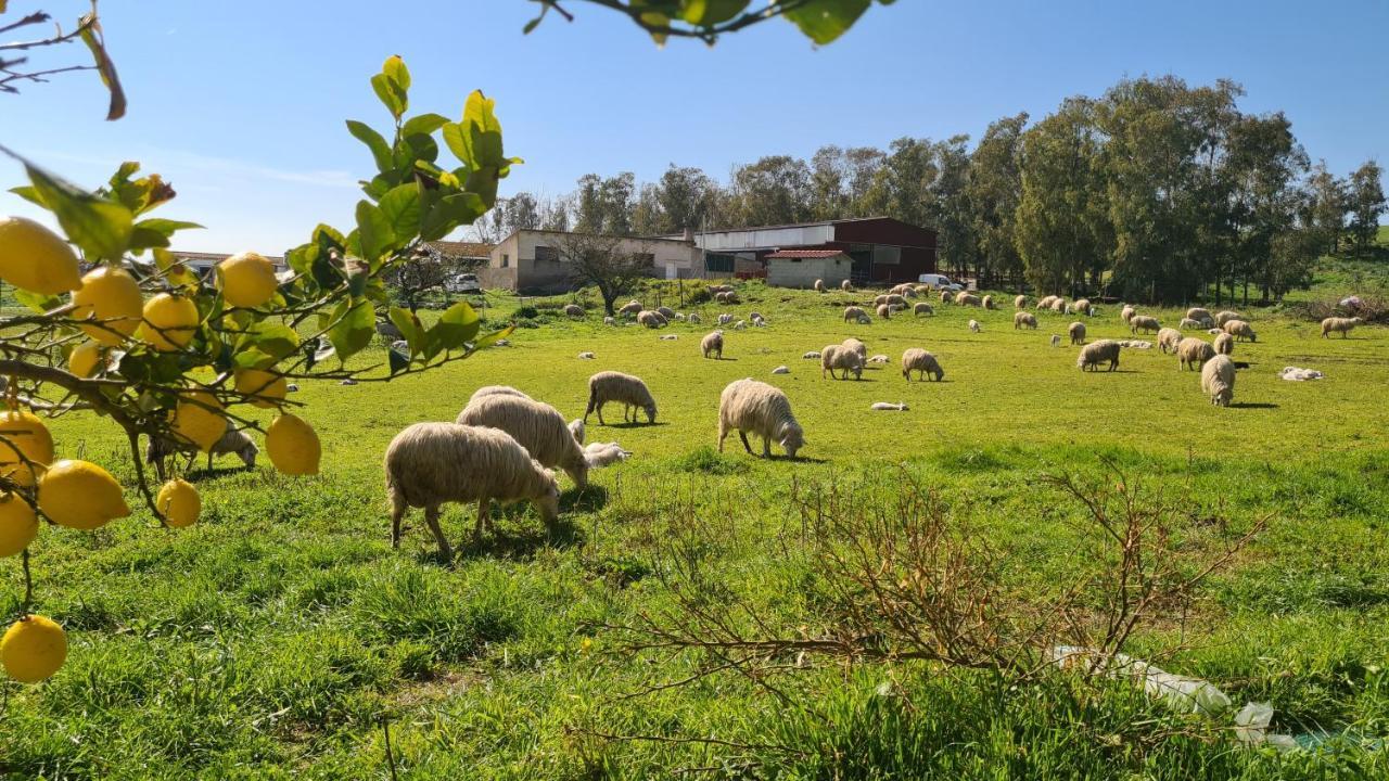 Agriturismo Sa Pigalva Tula Exterior foto