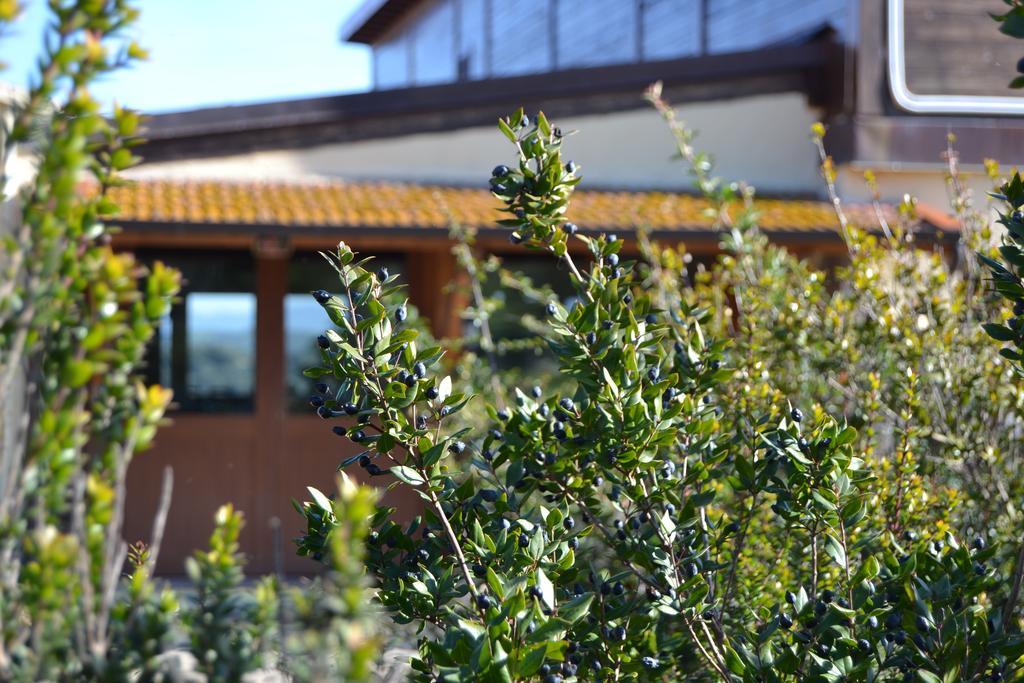 Agriturismo Sa Pigalva Tula Exterior foto
